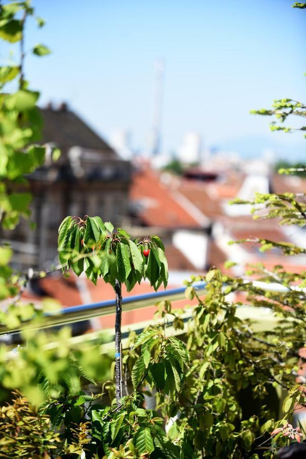 Апартаменты Zagreb Rooftops Экстерьер фото